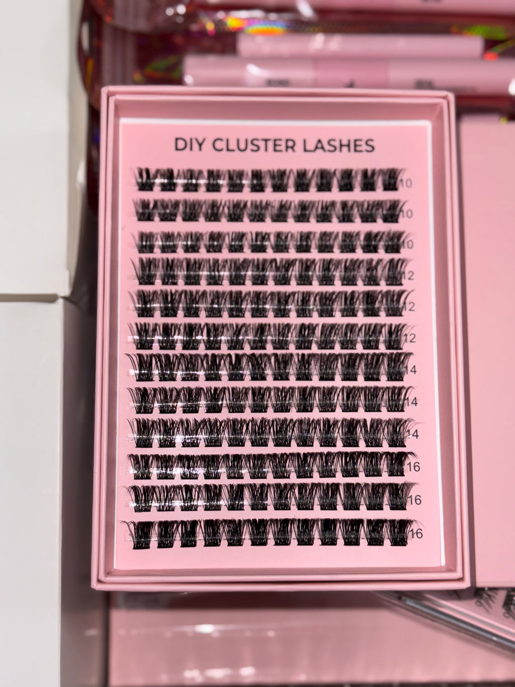 Lash Kit